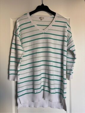 Talbot Terry Cloth Striped V-Neck white Sweater horizontal green stripes Large